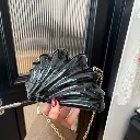 Acrylic Wings Shell by Fasshonista